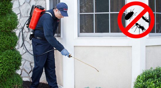 Karacasu Haşere İlaçlama böcek ilaçlama ve haşere kontrolü — ilaclama-tr.com